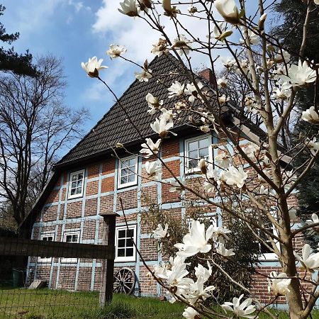 Schoenes Apartment Vor Den Toren Hamburgs - Keine Monteurwohnung Asendorf Luaran gambar