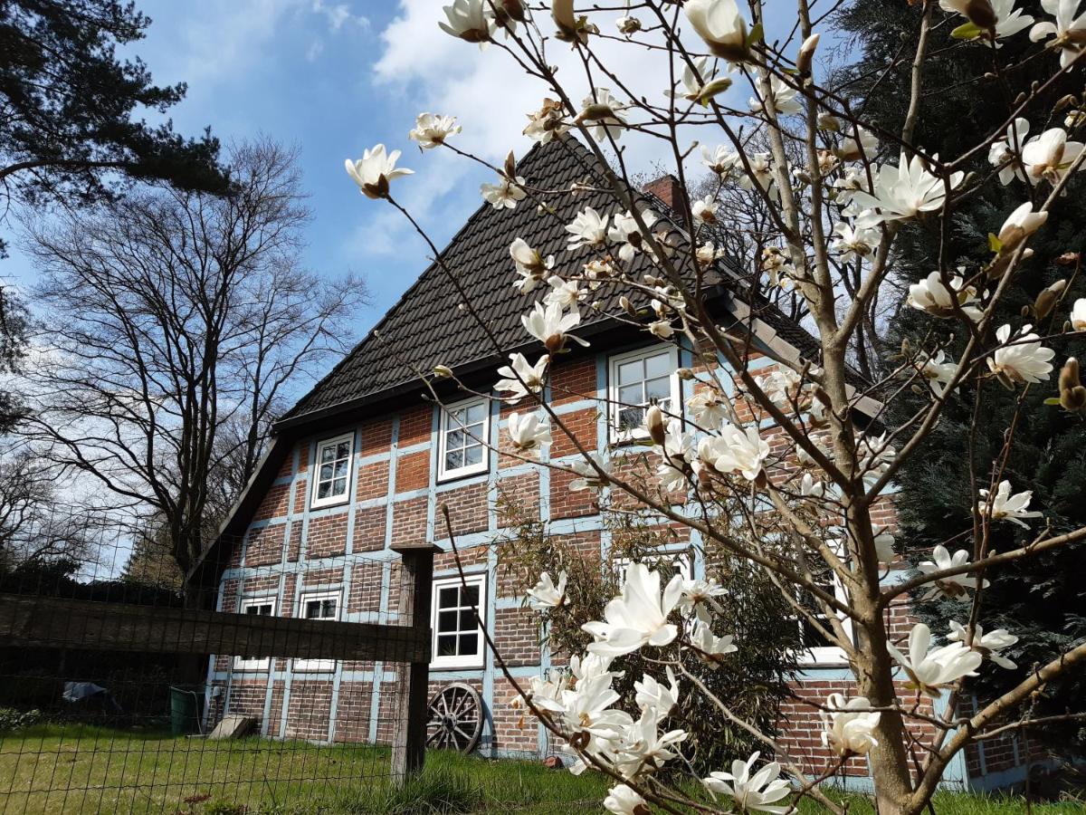 Schoenes Apartment Vor Den Toren Hamburgs - Keine Monteurwohnung Asendorf Luaran gambar